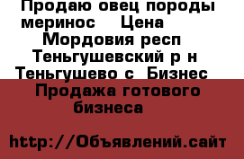 Продаю овец породы меринос  › Цена ­ 150 - Мордовия респ., Теньгушевский р-н, Теньгушево с. Бизнес » Продажа готового бизнеса   